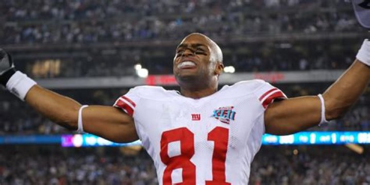 Amani Toomer Net Worth | Celebrity Net Worth