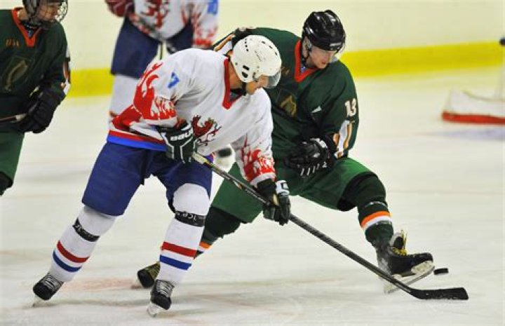 Bob Schneider Net Worth | Celebrity Net Worth