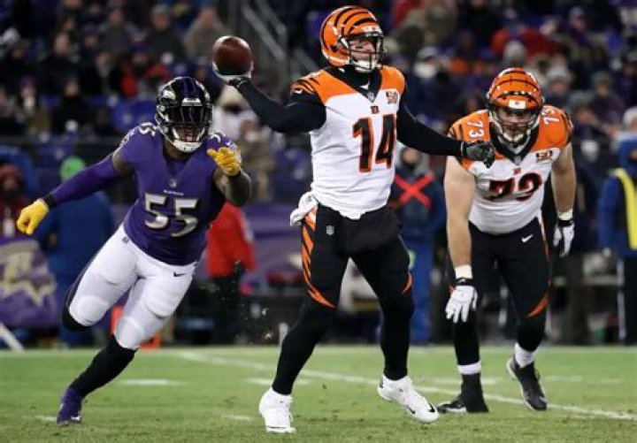 Buffalo Bills Fans Raised A Ton Of Money For Cincinnati Bengals Quarterback Andy Dalton