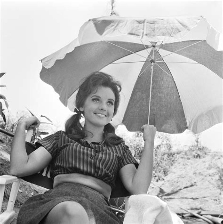 Dawn Wells Net Worth | Celebrity Net Worth