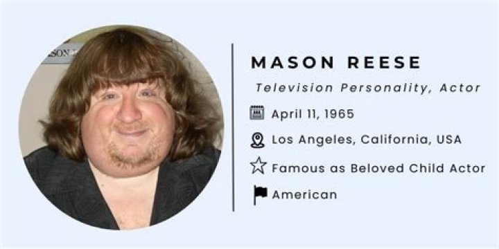 Mason Reese Net Worth | Celebrity Net Worth