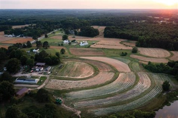 A North Carolina Farm Worth Almost Half A Million Dollars Is Being Given To The Winners Of An Essay Contest