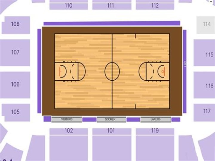 Who Owns Lakers Courtside Seats?