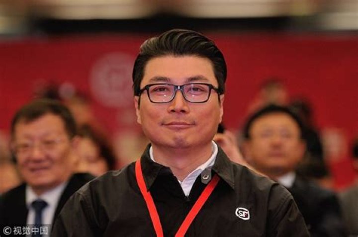 Wang Wei Net Worth | Celebrity Net Worth